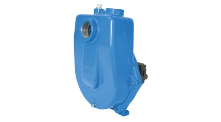 9305C-SP(BSP) Zentrifugal Pump Header.png.thumb.1280.1280